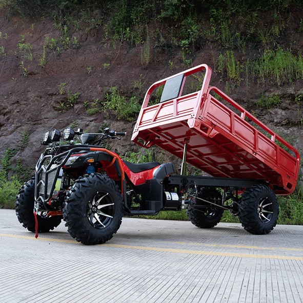 UTV Vehicul off-road pentru toate terenurile UTV